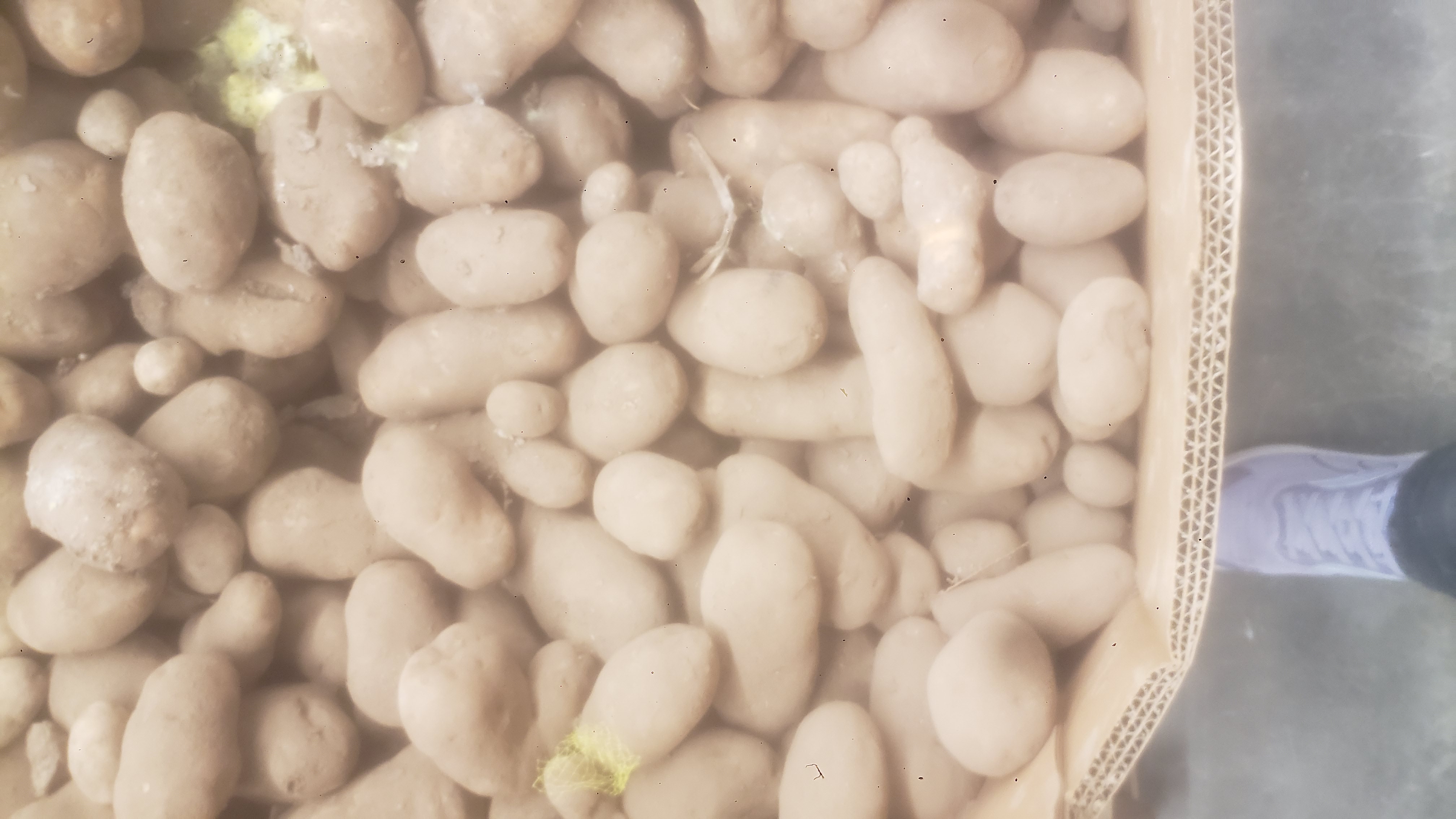 Cardboard container full of potatoes.